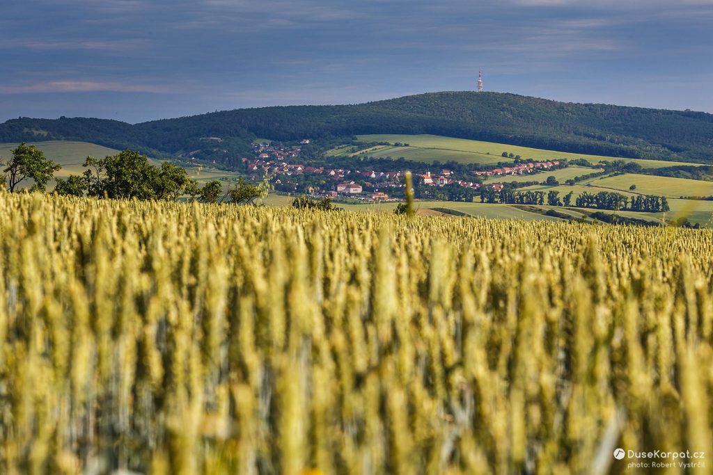 zdanice-strazovjak-1-v